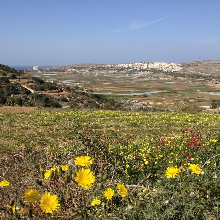 Secco'S Seaview Accommodation L-Imgarr Exterior foto